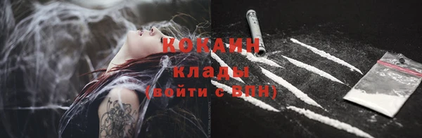 эйфоретик Бородино