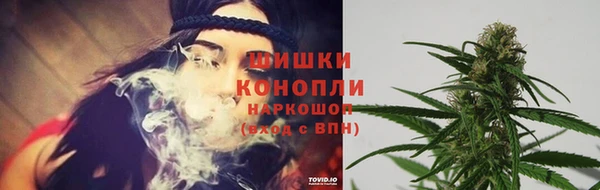 молекула духа Бугульма