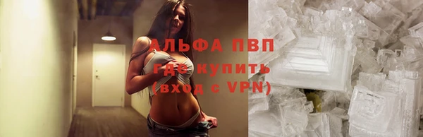 эйфоретик Бородино