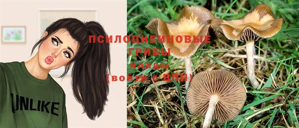 эйфоретик Бородино