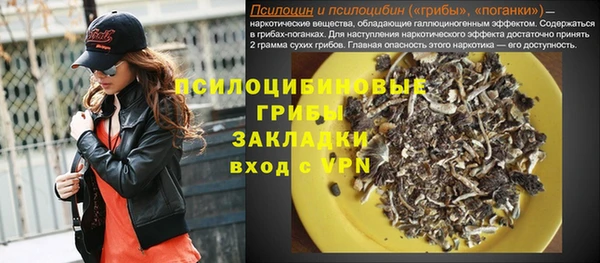 эйфоретик Бородино