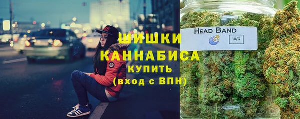 эйфоретик Бородино