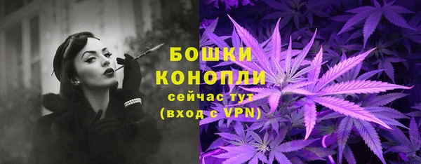 эйфоретик Бородино